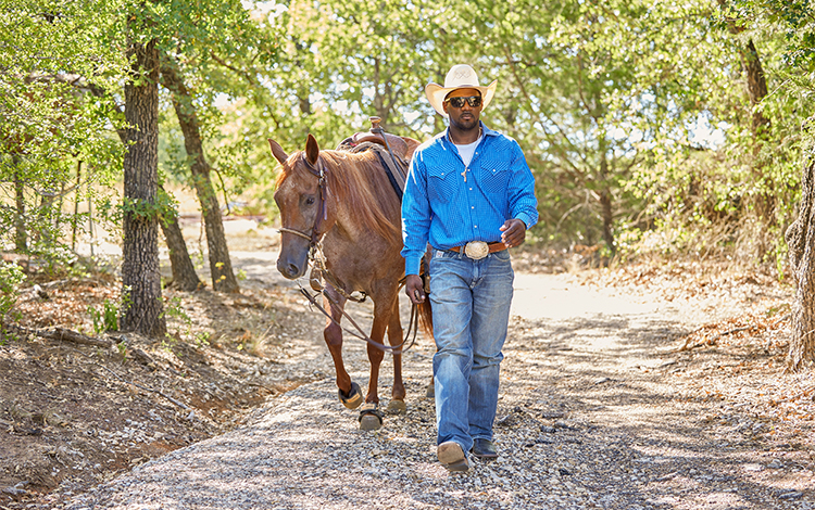 Stephan walking horse 